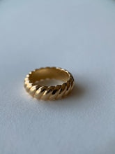 Load image into Gallery viewer, Darryl