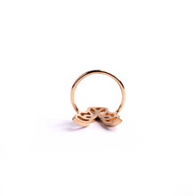 Load image into Gallery viewer, Jewel of Laith Collection