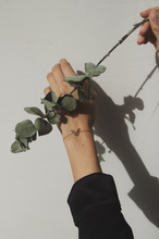 Load image into Gallery viewer, Jewel of Laith Collection