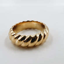 Load image into Gallery viewer, Darryl